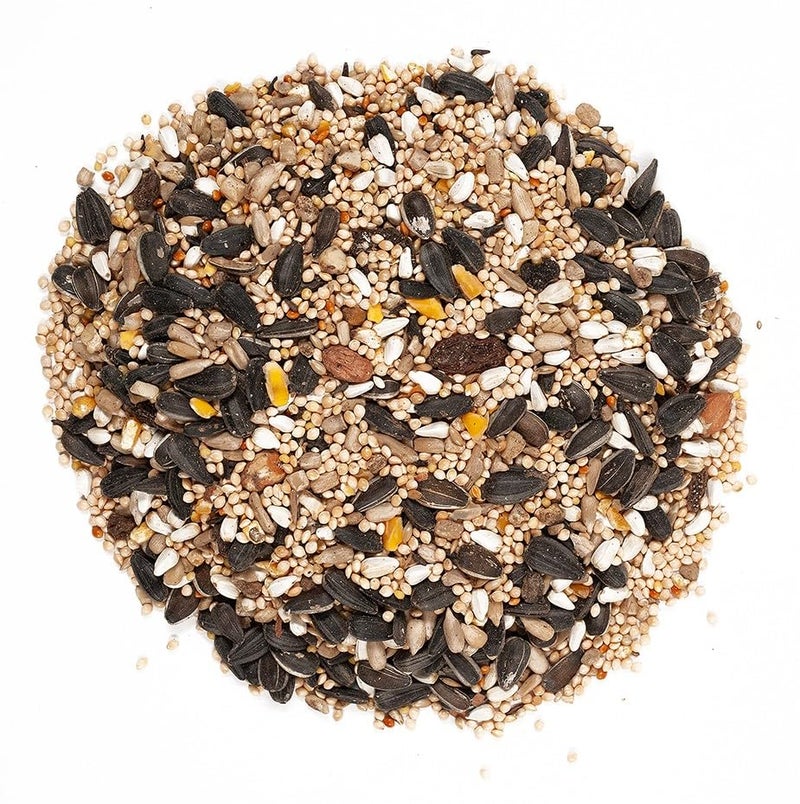 Wagner's 62034 Greatest Variety Blend Wild Bird Food, 6-Pound Bag - Image 3